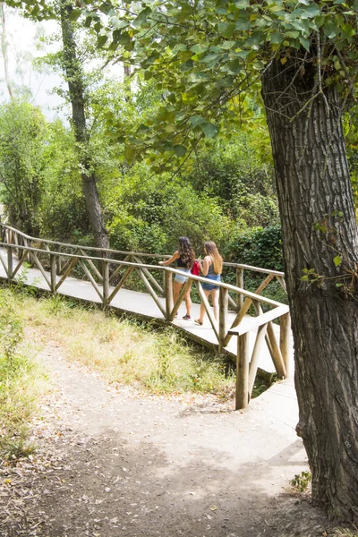 Doğada ahşap bir yolda hiking iki güzel kadın