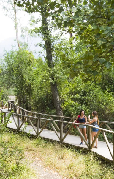 Dos hermosas mujeres caminando en la naturaleza en un camino de madera — Foto de Stock