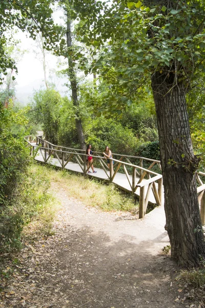Doğada ahşap bir yolda hiking iki güzel kadın