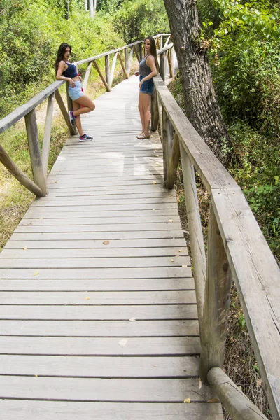 Doğada ahşap bir yolda hiking iki güzel kadın