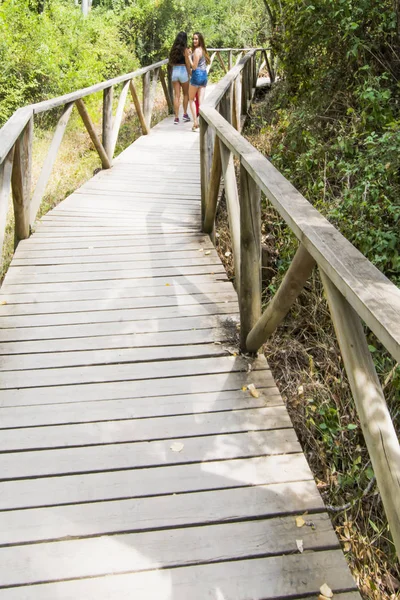 Doğada ahşap bir yolda hiking iki güzel kadın