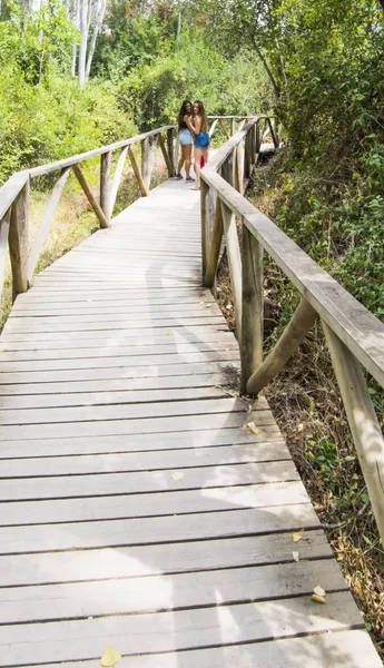 Doğada ahşap bir yolda hiking iki güzel kadın