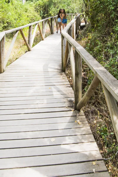 Doğada ahşap bir yolda hiking iki güzel kadın