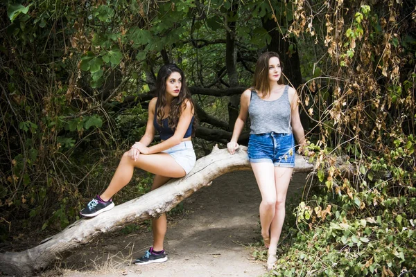 Zwei schöne Frauen wandern in der Natur auf einer Bergstraße — Stockfoto