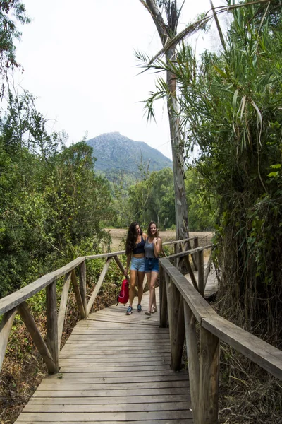 Doğada ahşap bir yolda mo hiking, iki güzel kadın