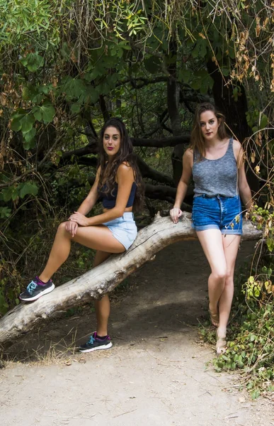 Doğada bir dağ yolda hiking iki güzel kadın