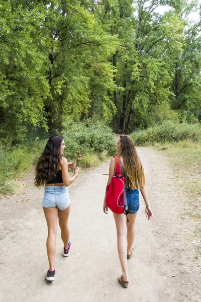 Doğada bir dağ yolda hiking iki güzel kadın