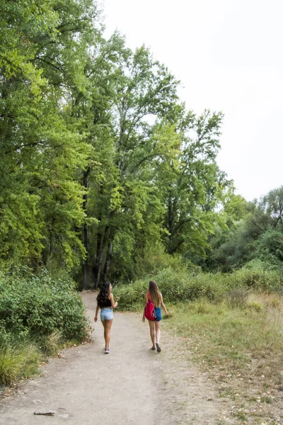 Duas belas mulheres caminhando na natureza em uma estrada de montanha — Fotografia de Stock