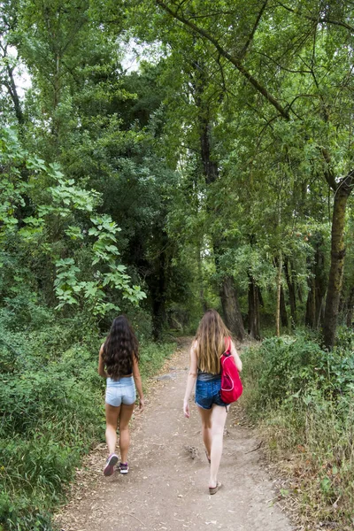 Doğada bir dağ yolda hiking iki güzel kadın