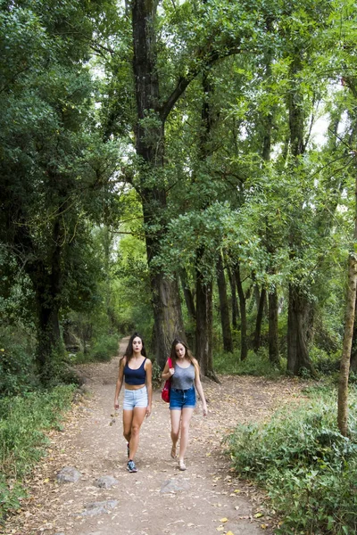 Doğada bir dağ yolda hiking iki güzel kadın