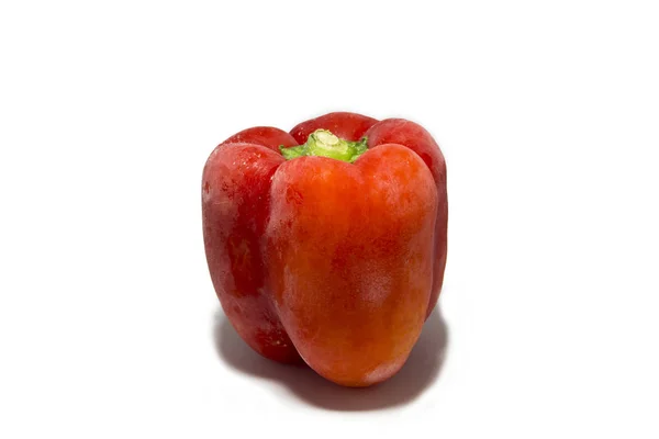 Κόκκινη πιπεριά που απομονώνεται σε λευκό φόντο — Φωτογραφία Αρχείου