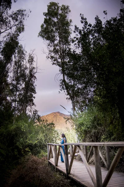 Beautiful woman in the field on a wooden bridge wearing a  eveni — Stock Photo, Image