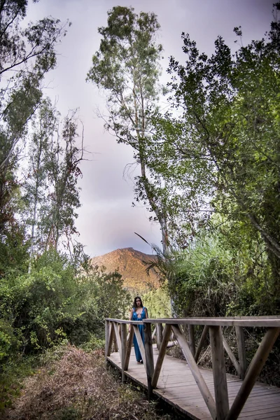 Mulher bonita no campo em uma ponte de madeira vestindo um eveni — Fotografia de Stock