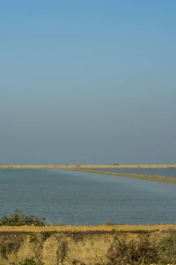 Marsh gündoğumu su dolu manzara