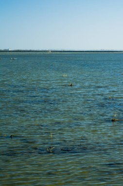 Marsh gündoğumu su dolu manzara