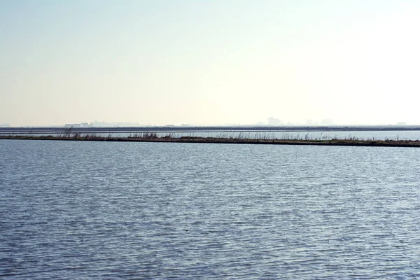 Marsh gündoğumu su dolu manzara — Stok fotoğraf