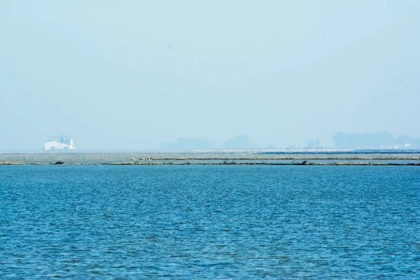 Landschap van moeras vol water bij zonsopgang — Stockfoto