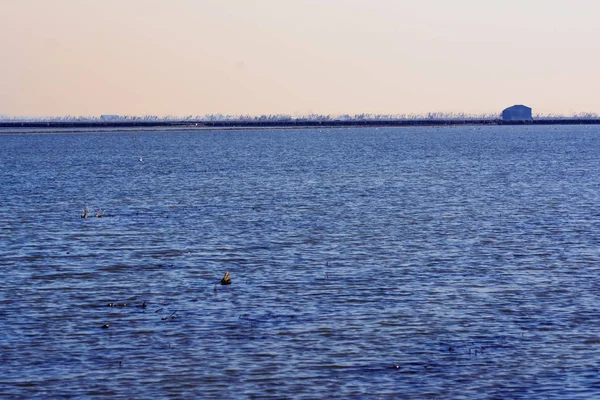 Sumpflandschaft voller Wasser bei Sonnenaufgang — Stockfoto