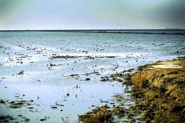 Landscape of marsh full of water at sunrise — Stock Photo, Image