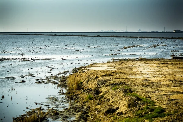 Sumpflandschaft voller Wasser bei Sonnenaufgang — Stockfoto