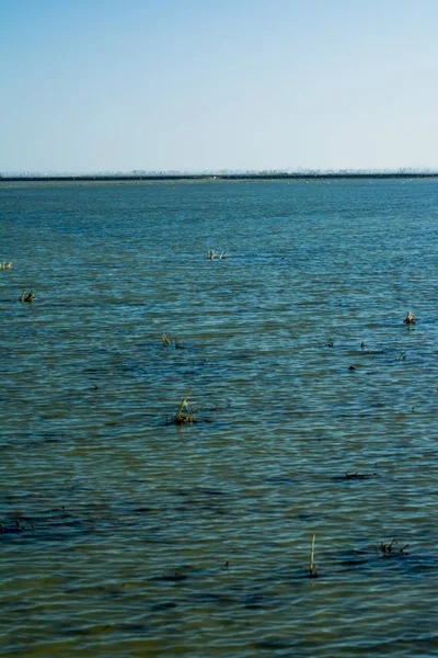 Marsh gündoğumu su dolu manzara — Stok fotoğraf
