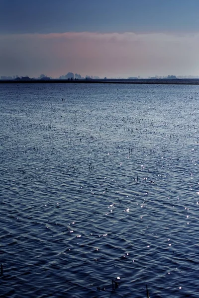 Landscape of marsh full of water at sunrise — Stock Photo, Image