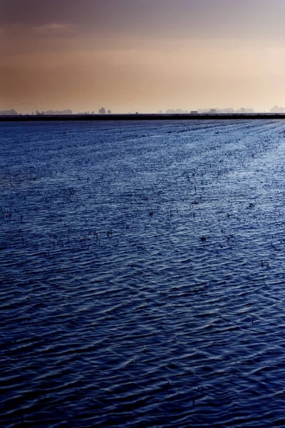 Landscape of marsh full of water at sunrise — Stock Photo, Image