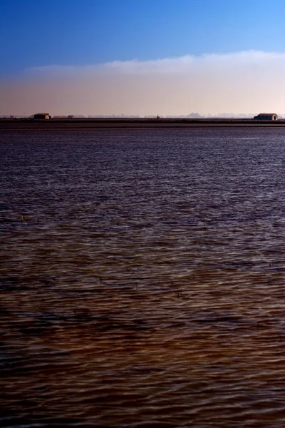 Landskap av marsh full av vatten vid soluppgången — Stockfoto
