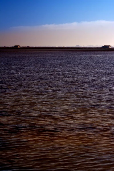 Sumpflandschaft voller Wasser bei Sonnenaufgang — Stockfoto