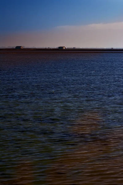 Sumpflandschaft voller Wasser bei Sonnenaufgang — Stockfoto