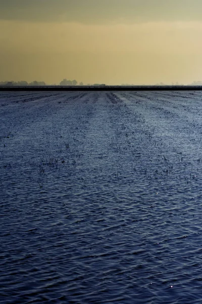 Sumpflandschaft voller Wasser bei Sonnenaufgang — Stockfoto