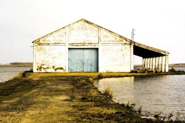 Eski depo ve bataklıklar yanındaki alanında peyzaj