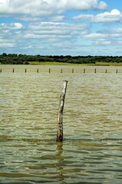 Bulutlu bir günde bir gölde ahşap direk