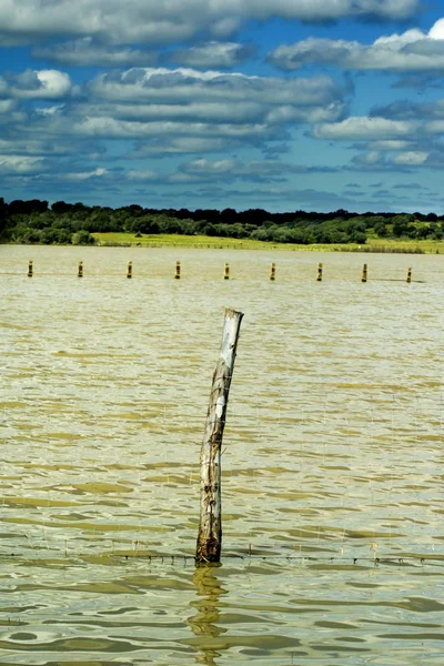 Houten paal in een meer op een dag met wolken — Stockfoto