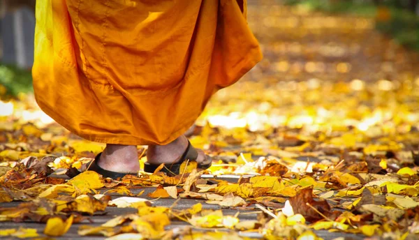 Caminando de un monje azafrán . — Foto de Stock