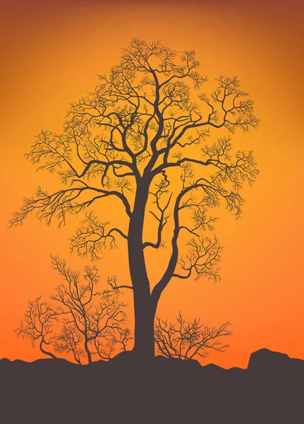 Çıplak ağaç ve çalı.