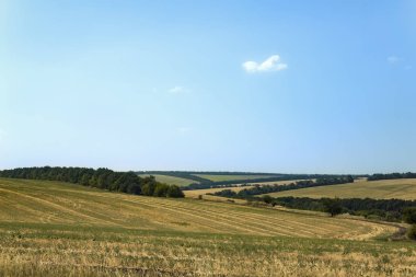 Kırsal yaz manzarası.
