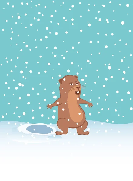 Groundhog saiu do buraco e se alegra com a queda de neve . —  Vetores de Stock