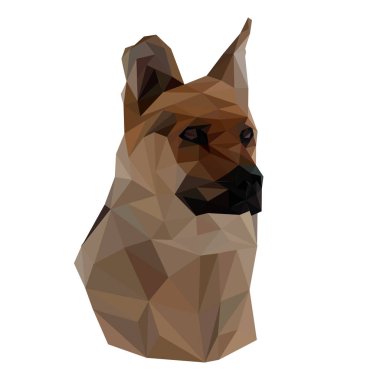 köpek portre düşük Poli