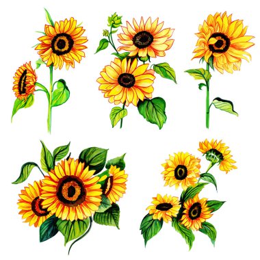 Suluboya Bahar Çiçeği ve Yaprak Elementleri Koleksiyonu