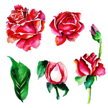 Suluboya Bahar Çiçeği ve Yaprak Elementleri Koleksiyonu