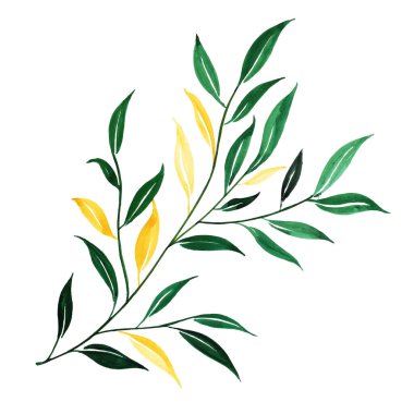 Suluboya Bahar Çiçek Elementi