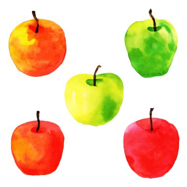 Suluboya Meyve Trend Koleksiyonu