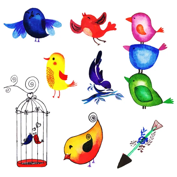 Belle Collection Oiseaux Aquarelle — Image vectorielle