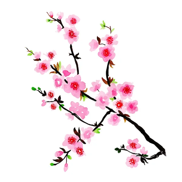 Acuarela Elemento Floral Primavera — Vector de stock