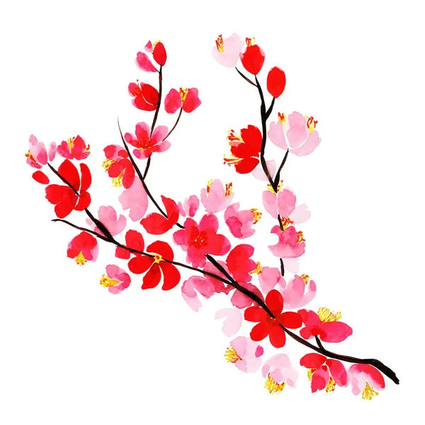 Acuarela Elemento Floral Primavera — Vector de stock