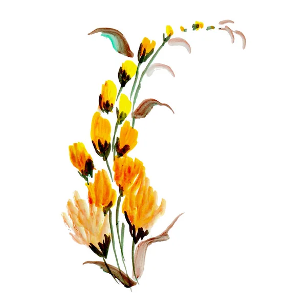 Suluboya Bahar Çiçek Elementi — Stok Vektör