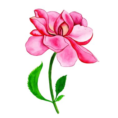 Suluboya Bahar Çiçek Elementi