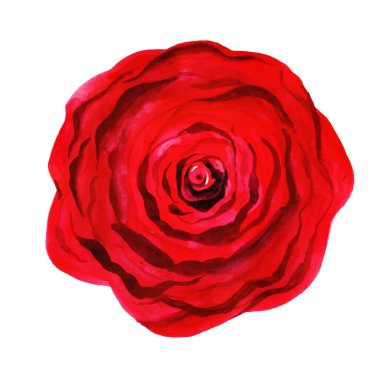 Suluboya Bahar Çiçek Elementi