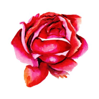 Suluboya Bahar Çiçek Elementi